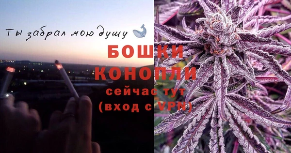шишки Алзамай