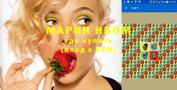 шишки Алзамай