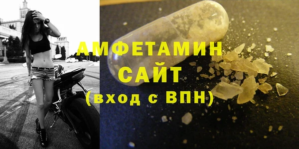 шишки Алзамай