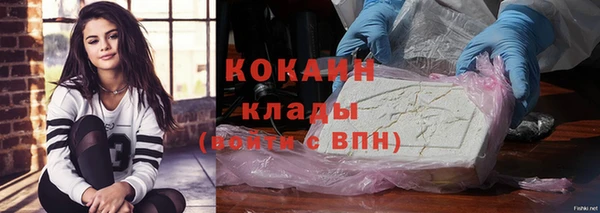 шишки Алзамай