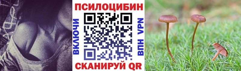 Псилоцибиновые грибы Cubensis  Дубна 